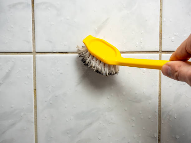 Best Emergency Mold Remediation in Hoffman Estates, IL