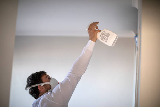 Best Attic Mold Remediation in Hoffman Estates, IL